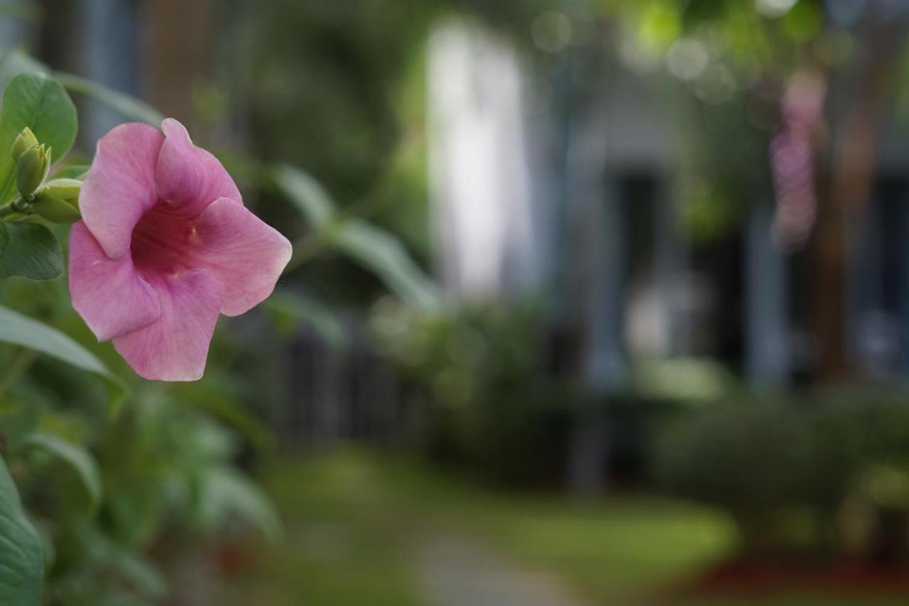 Phu Quoc Hotel Екстер'єр фото